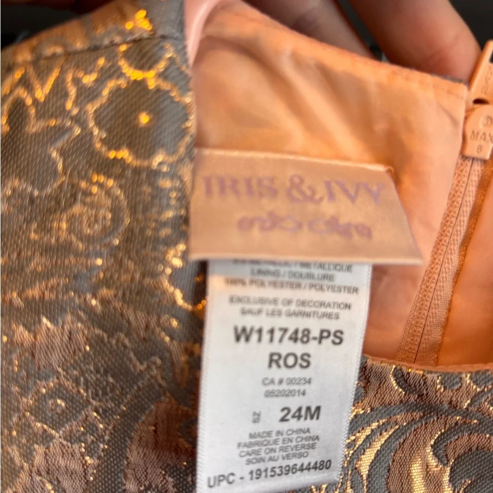 Iris & Ivy Gold and Pink Brocade Dress - Picture 4 of 4